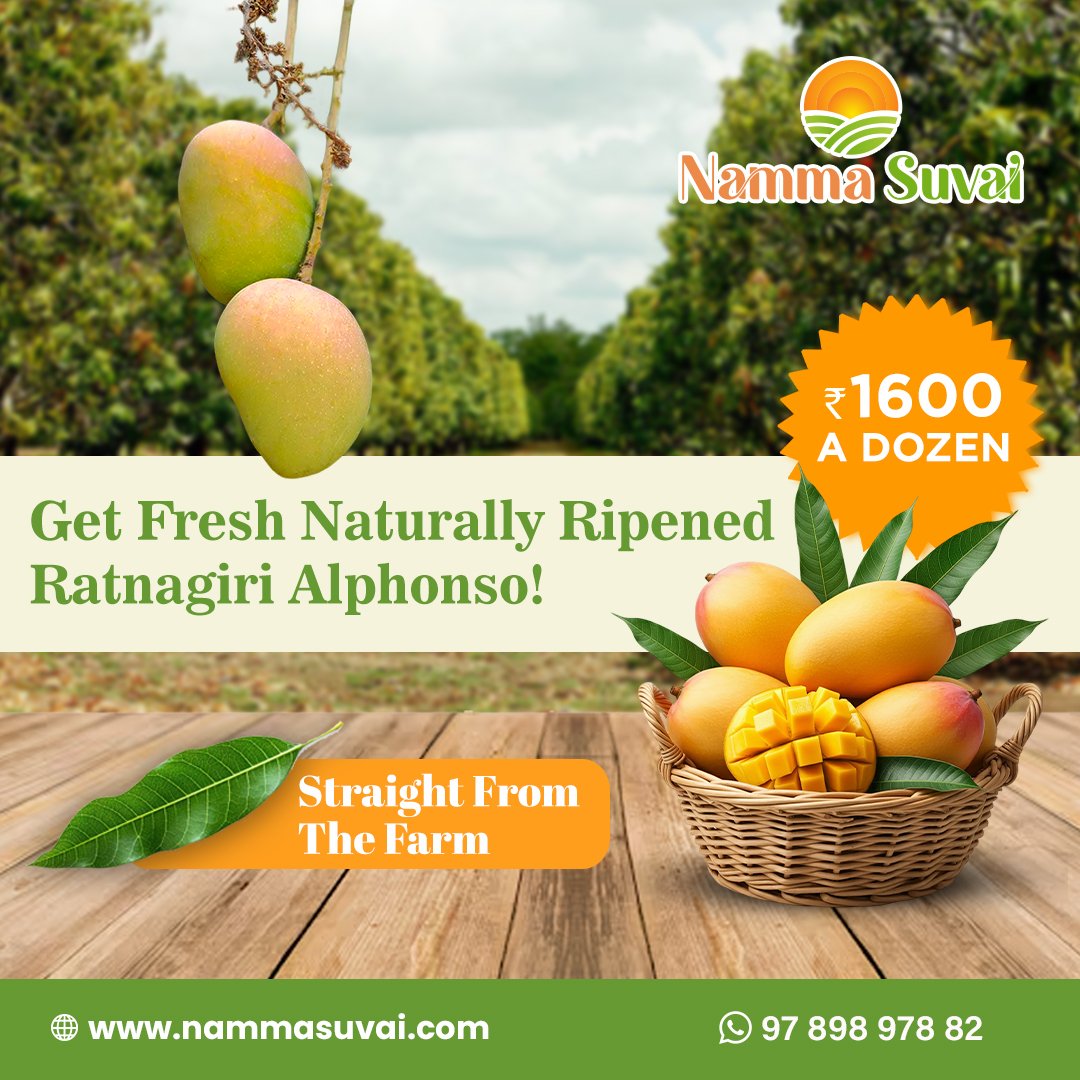 Namma Suvai social media advertisement design by Arina Digital Adz